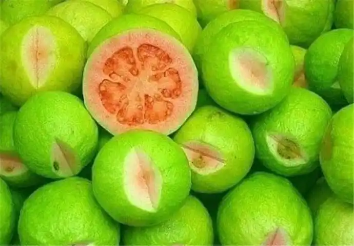 世界上最奇怪的水果 奇形怪状十分渗人不敢入口 奇形怪状的果实