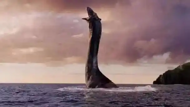 尼斯湖水怪之谜真相大白,不是什么怪物,只是一种鱼类