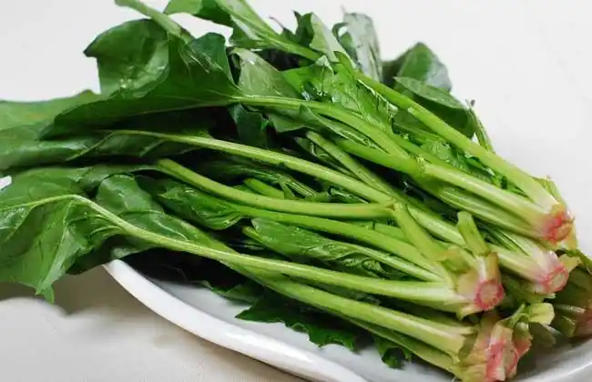 菠菜的家常做法大全