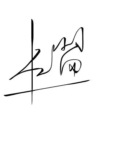 术啊卢签么艺签怎的盟名