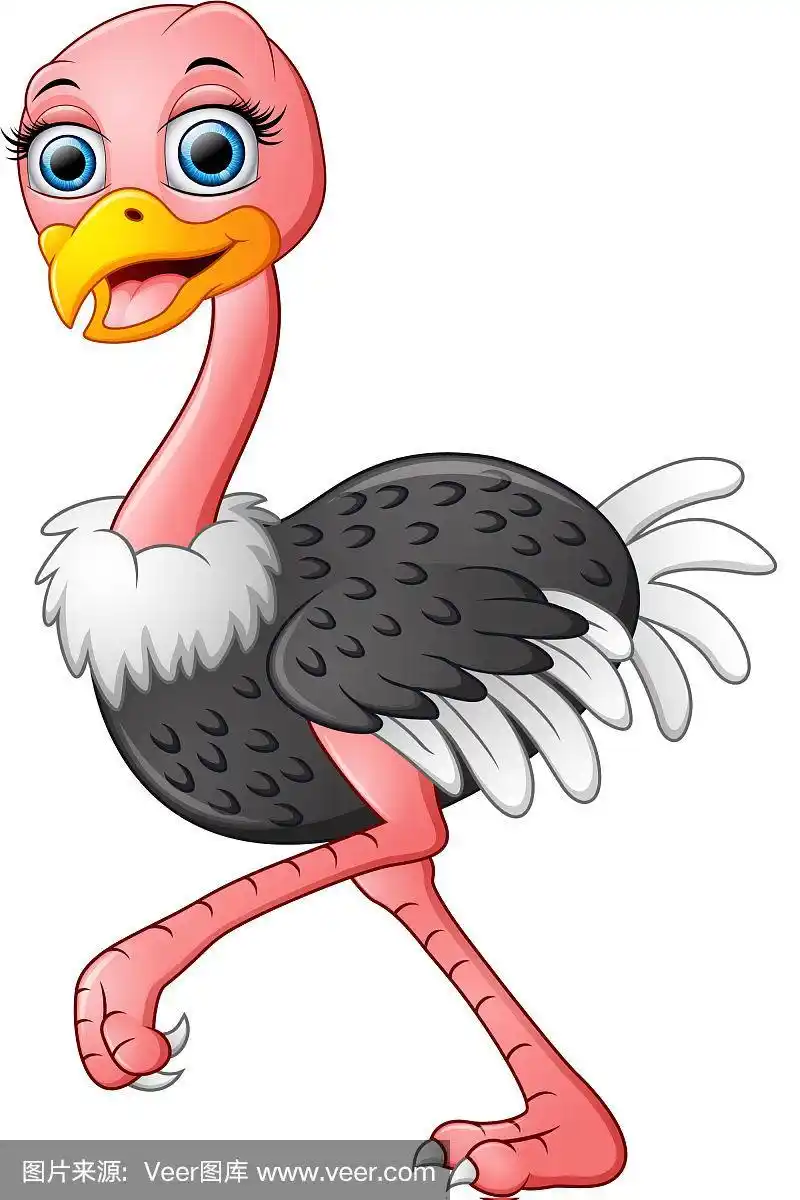 有趣的鸵鸟卡通孤立在白色的背景