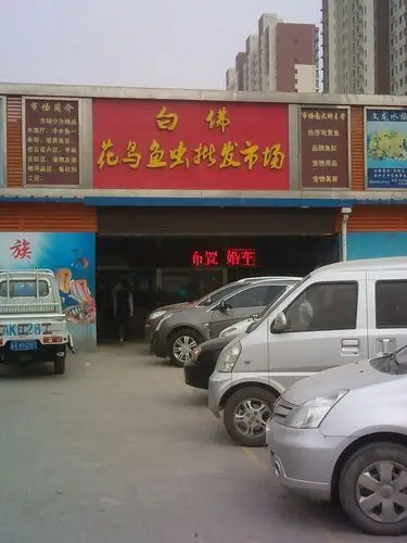白佛花鸟鱼虫批发市场小型宠物交易(东)区