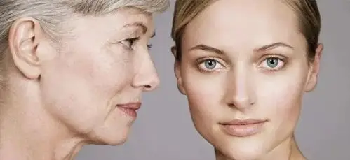 男性从50岁今后雄性激素逐步削减,性机能减退,睾丸体积变小,生精机能