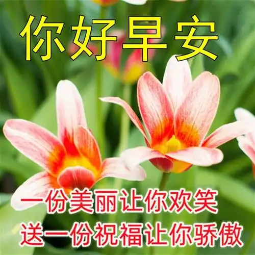 漂亮早上好祝福语图片温馨 早上好问候配图片