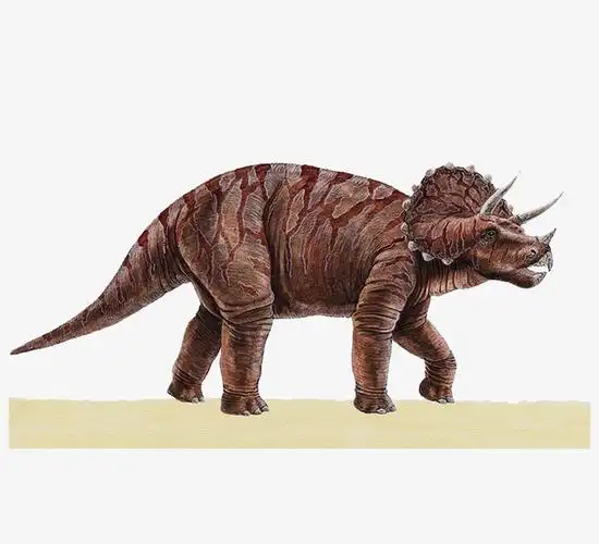 红色大耳朵恐龙