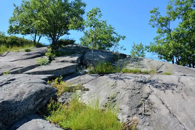 杀熊岛killbearprovincialpark