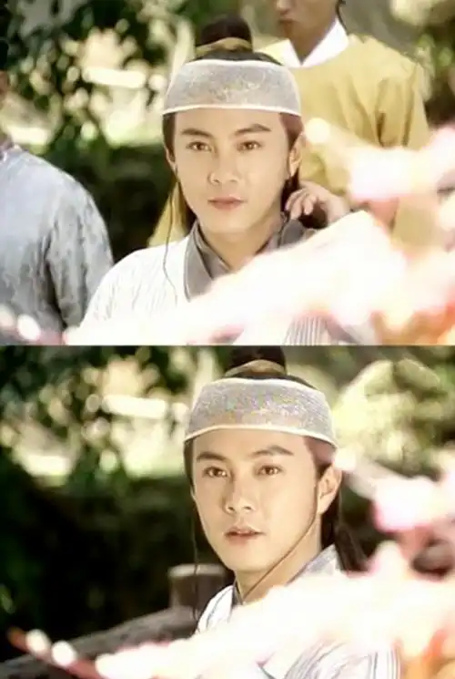 张卫健版《鹿鼎记》星光闪闪,为何舒淇朱茵林心如甘愿做绿叶?