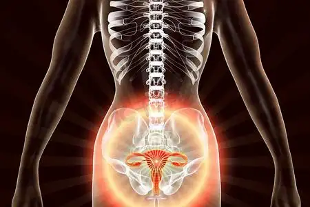 女性妇科器官突出于身体内部