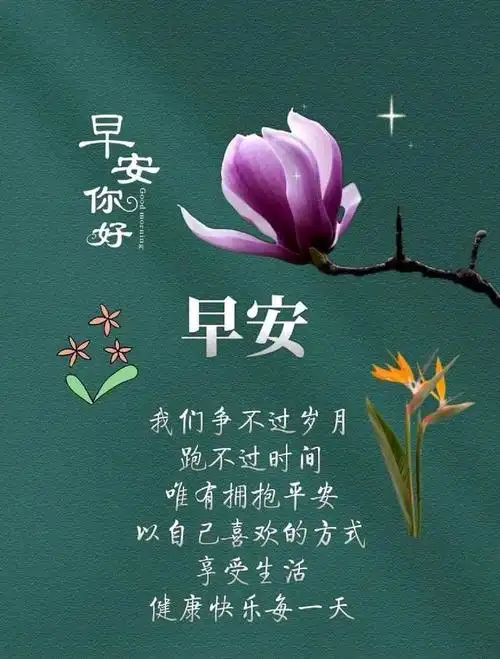 早安问候语:祝阳光的照耀为你带来些许温暖,早安!
