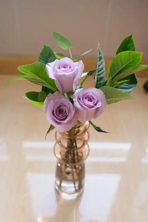 紫色玫瑰花束瓶插花