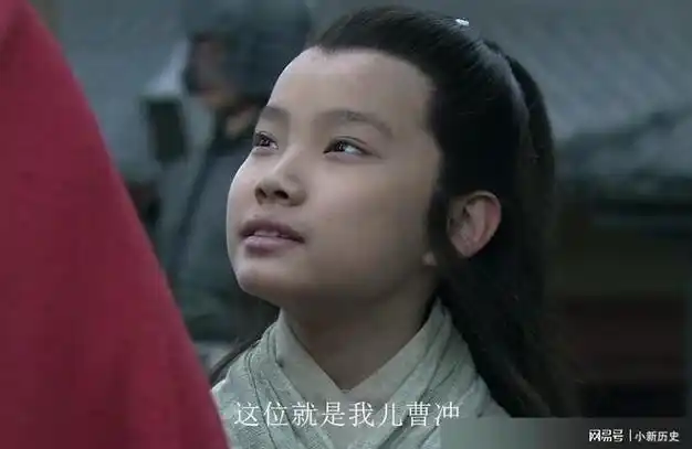 曹冲靠称象成名世人都夸他聪明司马懿他是蠢到家了