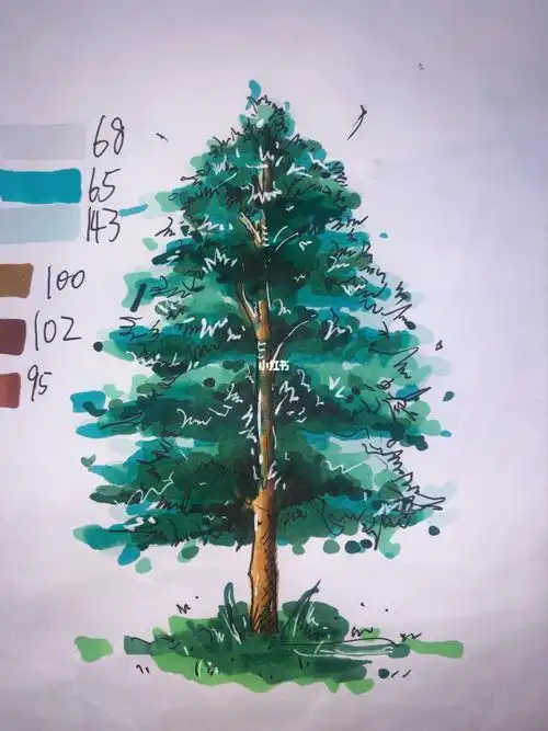 马克笔画树马克笔画树教程