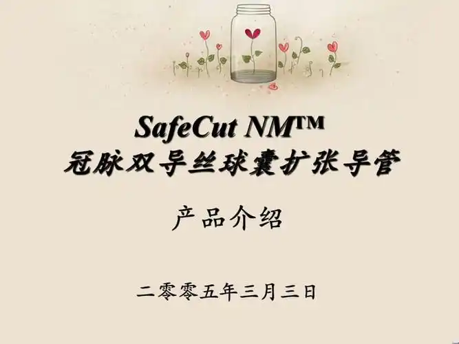 双导丝球囊介绍ppt