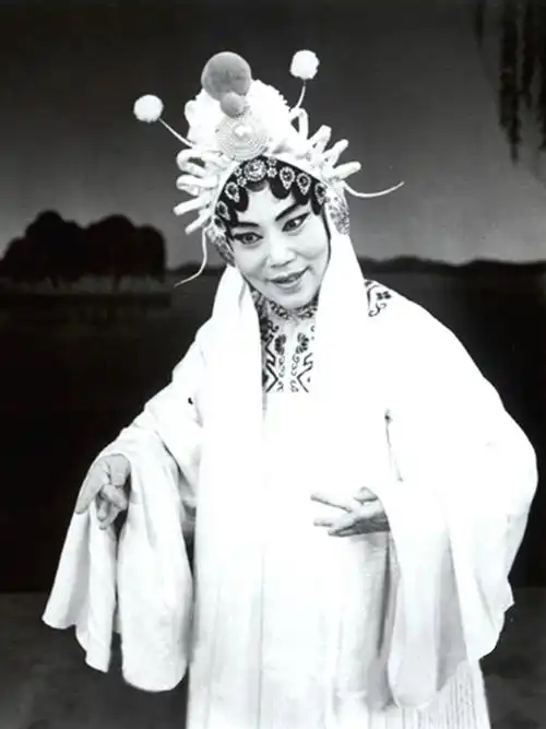 2004年7月,国务院决定追授已故豫剧大师常香玉"人民艺术家"荣誉称号.