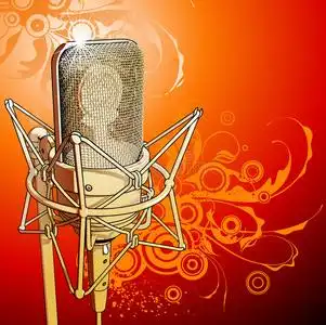 专业黄金黄金专业话筒照片