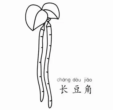 蔬菜简笔画