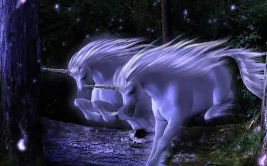 独角兽,中国传统的四灵兽之一!