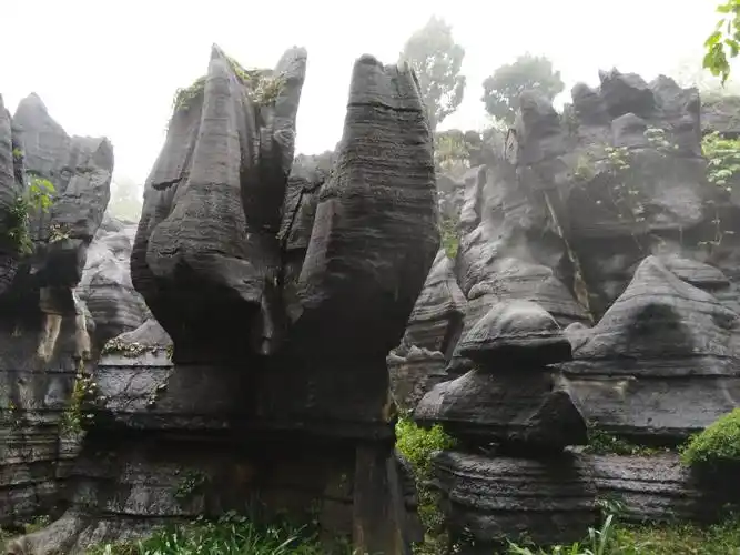 重庆金佛山景点三日游(三)