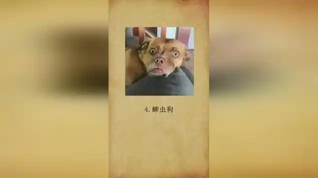 奇闻趣事干完这件事,我已经后悔了啊,你呢|社会奇闻|奇闻分享|蜗牛人