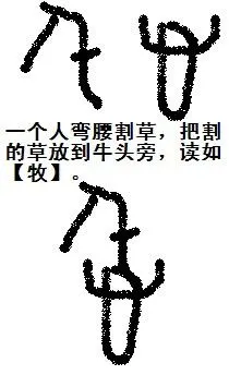 最上面的就是稍晚一些的甲骨文【牧】再早就是画牛头啦.