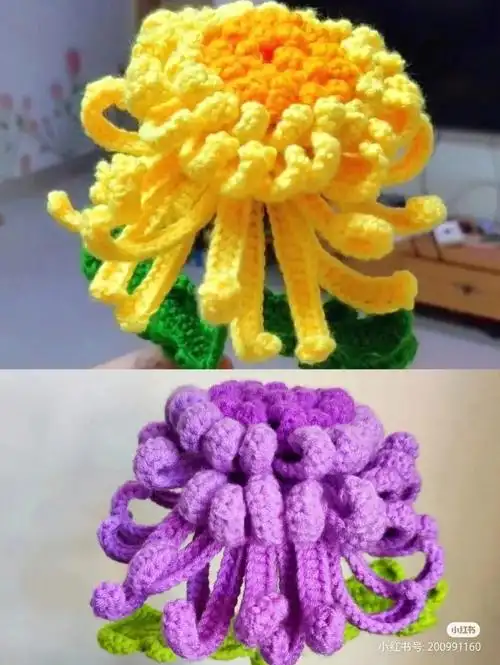 菊花附图解图解图片来源见水印