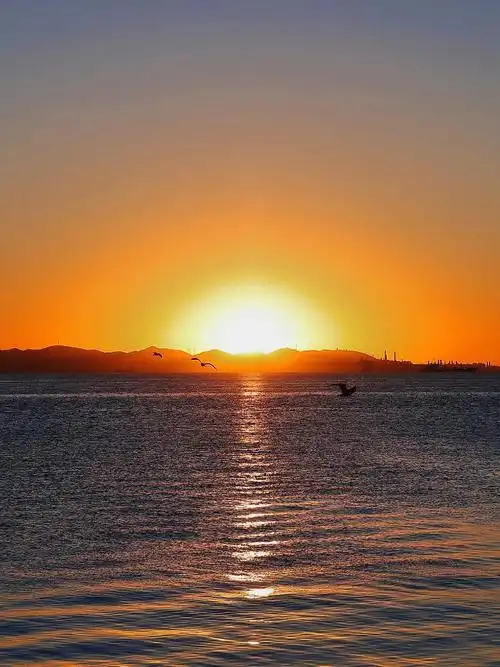 总要去东港看一次日出吧