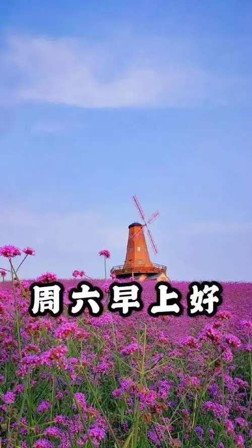 星期六清晨最暖心的早安祝福句子,周六早上好祝福文字图片精选