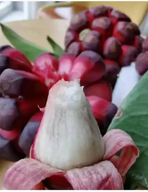 奢旺【2022新果】黑老虎鲜果布福娜水果稀奇恶魔果实应季当季新鲜现摘