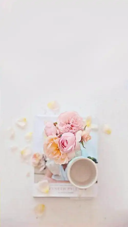 关键词 : 小清新,浪漫,粉色,书,花,梦幻,唯美,摄影,风景