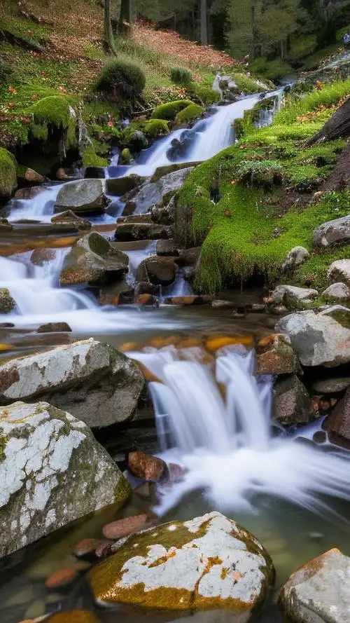 手机壁纸📱山间溪流潺潺声💧
