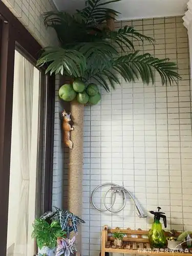 教大家花最少的钱来改造阳台下水管