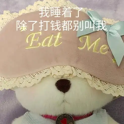 我睡着了  除了打钱都别叫我#莉娜熊  #teddytales  #表情包  #可爱