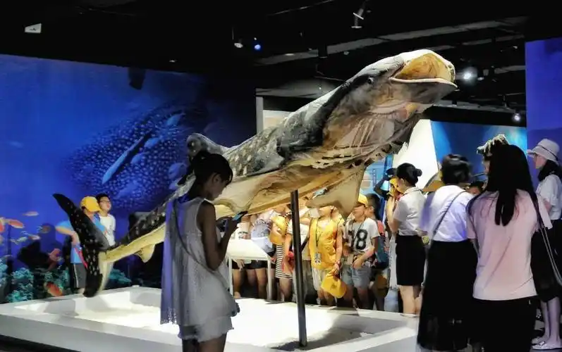 成都生命奥秘博物馆世间每一个生命都值得被尊敬