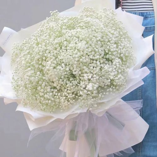 花仙居鲜花速递满天星向日葵混搭玫瑰鲜花花束全国同城花店配送上门