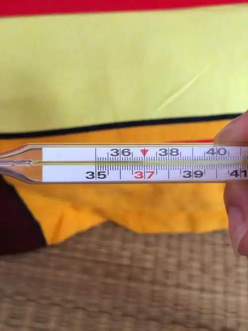 我的体温一直都是37度多就是降不下去好烦.