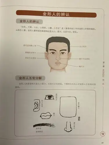 金形人的面部特征及养生要点