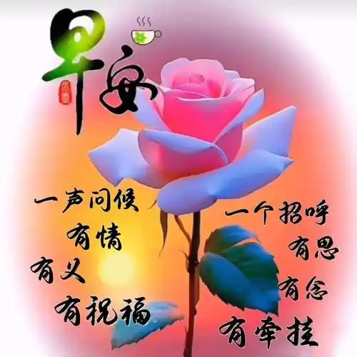 最漂亮早上好动态表情图片大全,早晨好动图美图大全