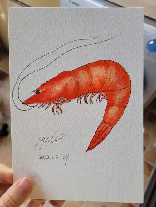 水彩  #自学水彩  #我的绘画成长史  #水彩临摹  #画画