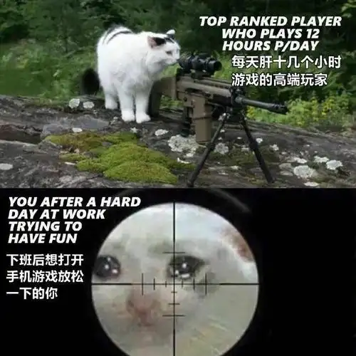 菜鸡落泪02.害,白转那么多健身视频了01.