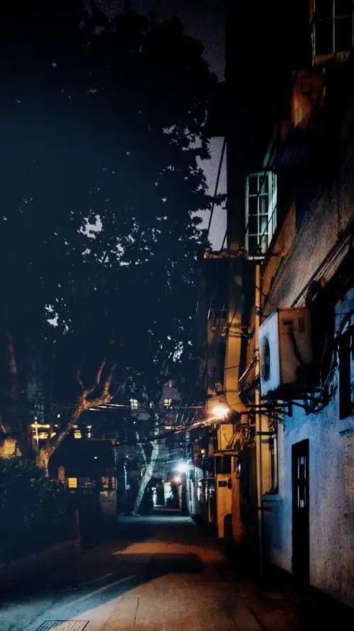 上海弄堂夜里走走