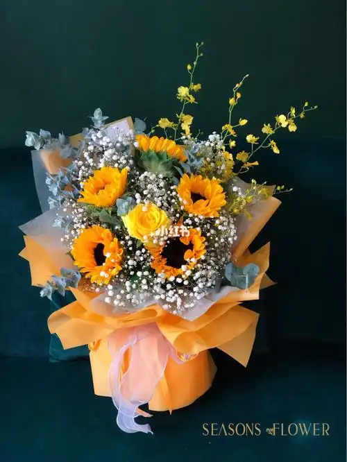 满天星搭配向日葵象征着什么的简单介绍