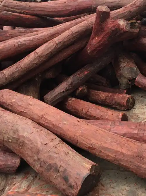 进口直销赞比亚血檀原料 爆满金星血檀 小叶紫檀 适合家具手串_原木