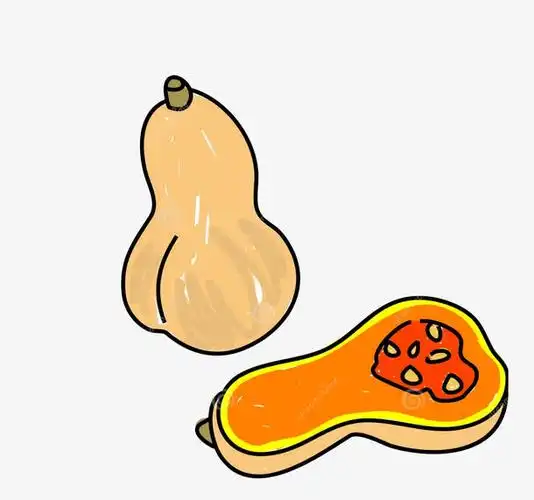 关键词 : 南瓜,黄色,南瓜子