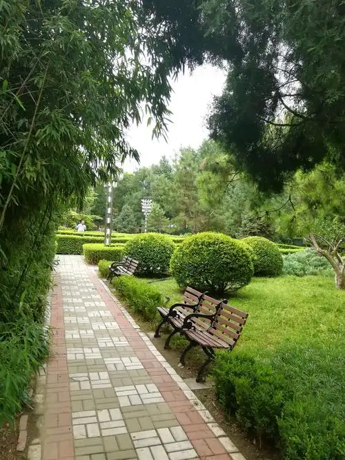 清晨闲逛小公园