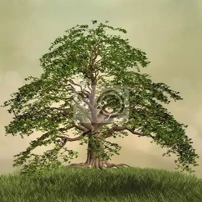 enchanted nature series - the green tree