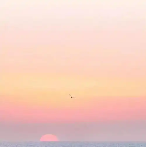 2021治愈系温暖句子,阳光好心态,开启美好的一天