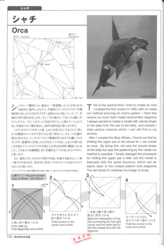 虎鲸折纸教程_折纸学院.pdf