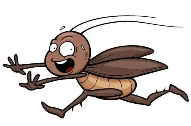 打不死的小强究竟有多强为什么说蟑螂最好不要踩死