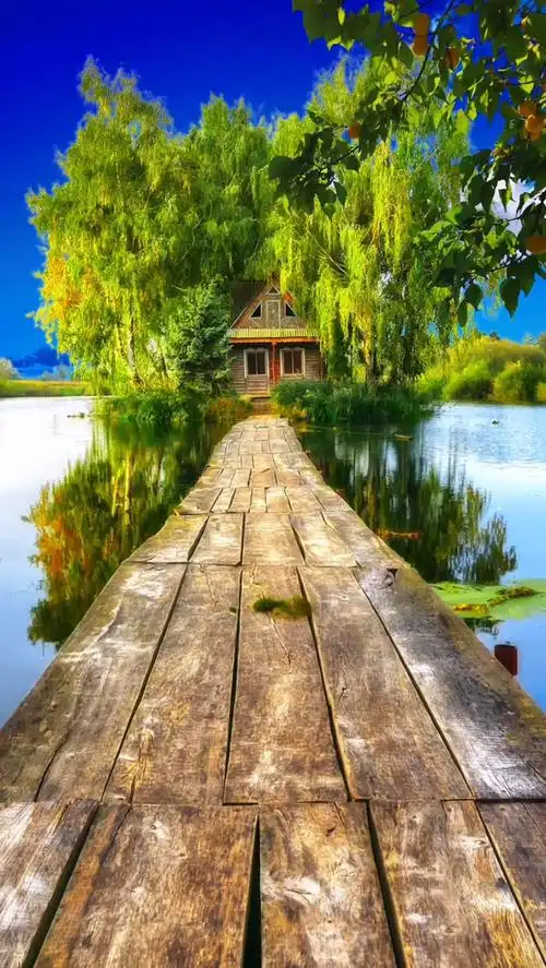 背景素材 所有的东西都抵不过时间和现实,让人成熟的从来都不是年龄