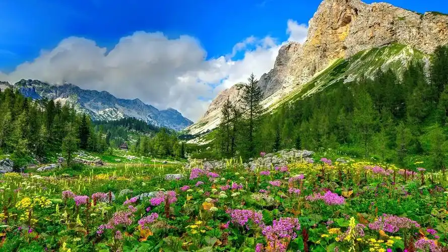 首页 自然与风景